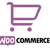 We provide custom development on Woo Commerce